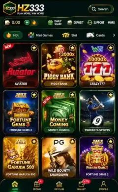 HZ333 game