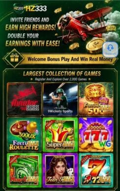 HZ333 game